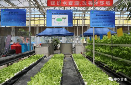 加快工厂化循环水养殖装备技术创新 助推水产养殖绿色高效发展