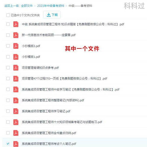 系统集成项目管理工程师（2021年核心资料与备考攻略）
